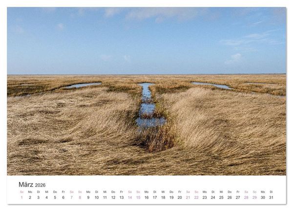 Produktbild: Hamburger Hallig - Der Weg ist das Ziel (Tischkalender 2026 DIN A5 quer), CALVENDO Monatskalender