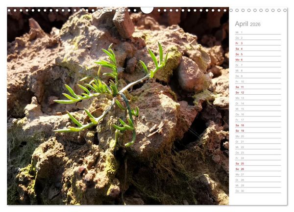 Produktbild: Abstrakte Umwelt (Wandkalender 2026 DIN A3 quer), CALVENDO Monatskalender