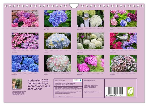 Produktbild: Hortensien 2026. Farbenpr&auml;chtige Impressionen aus dem Garten (Wandkalender 2026 DIN A4 quer), CALVENDO Monatskalender