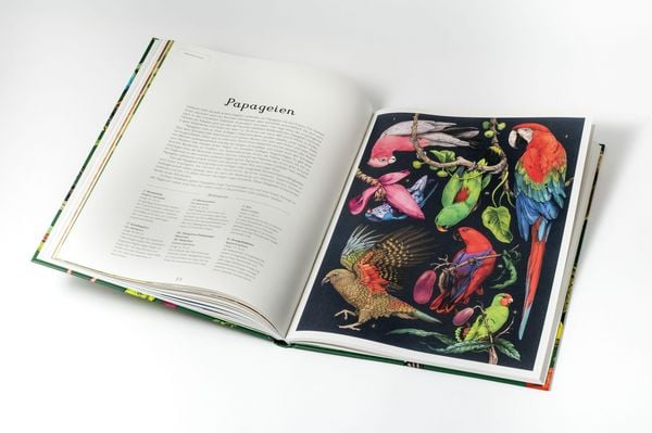 Produktbild: Das Museum der V&ouml;gel