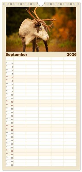 Produktbild: Familienplaner 2026 - Wildes Finnland mit 5 Spalten (Wandkalender, 21 x 45 cm) CALVENDO