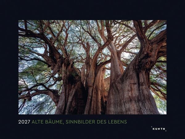 Produktbild: Alte B&auml;ume, Sinnbilder des Lebens - KUNTH Wandkalender 2027