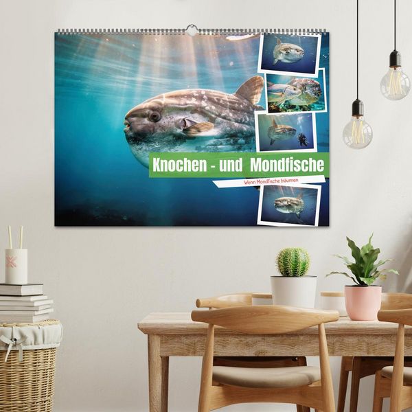 Produktbild: Knochen - und Mondfische (Wandkalender 2027 DIN A2 quer), CALVENDO Monatskalender