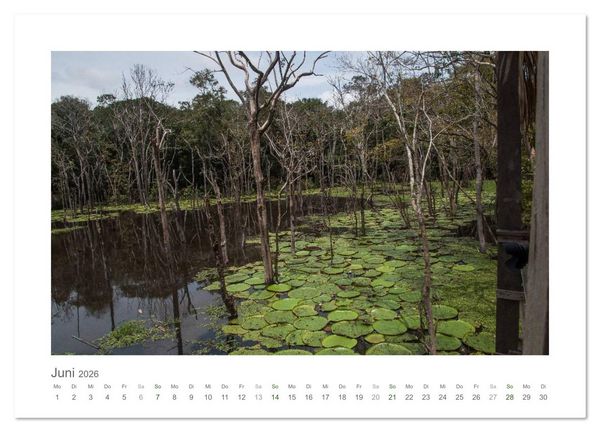 Produktbild: Amazonas, eine Reise entlang seiner Ufer (Wandkalender 2026 DIN A4 quer), CALVENDO Monatskalender