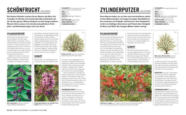 Produktbild: Gr&uuml;nes Gartenwissen. Pflanzen richtig schneiden