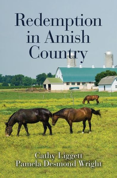 Produktbild: Redemption in Amish Country