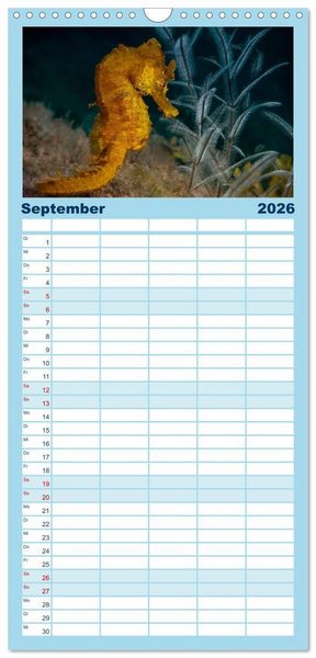 Produktbild: Familienplaner 2026 - Hippocampus oder einfach nur Seepferdchen mit 5 Spalten (Wandkalender, 21 x 45 cm) CALVENDO