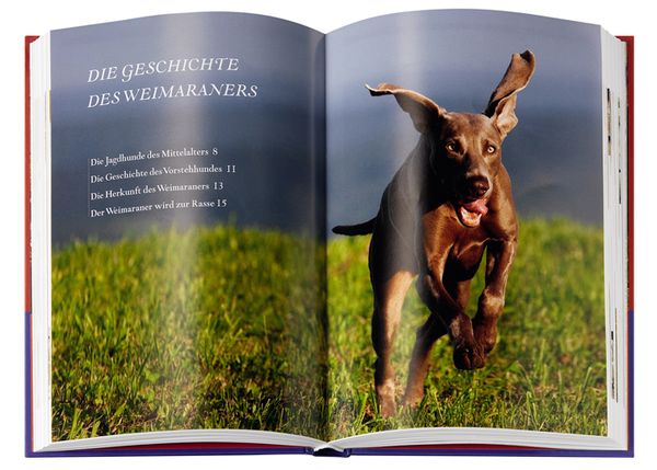 Produktbild: Weimaraner