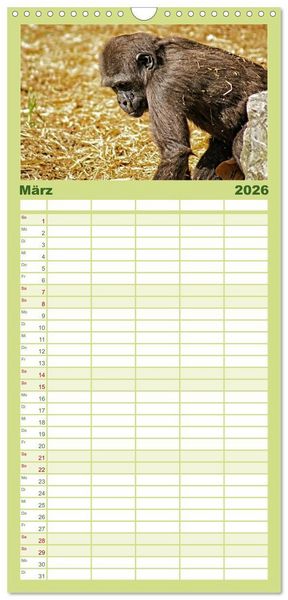 Produktbild: Familienplaner 2026 - Gorillas - Die sanften Wilden mit 5 Spalten (Wandkalender, 21 x 45 cm) CALVENDO