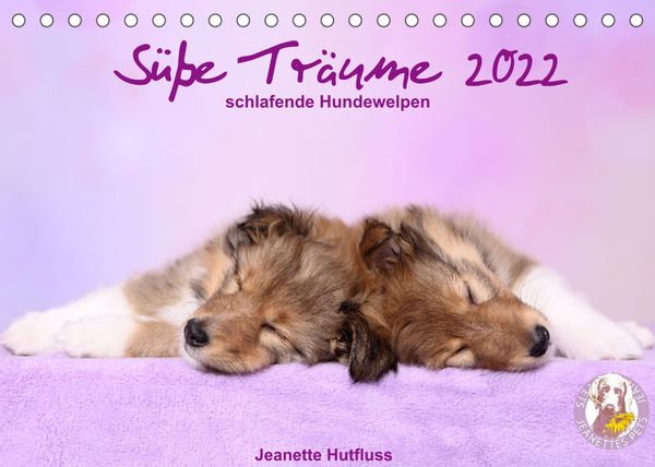 Produktbild: S&uuml;&szlig;e Tr&auml;ume 2022 - schlafende Hundewelpen (Tischkalender 2022 DIN A5 quer)