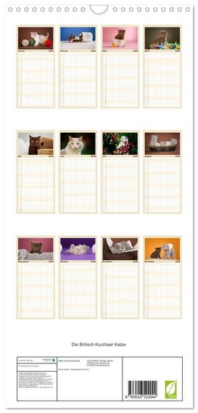 Produktbild: Familienplaner 2026 - Die Britisch Kurzhaar Katze mit 5 Spalten (Wandkalender, 21 x 45 cm) CALVENDO