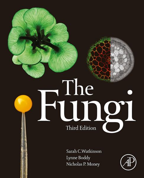 Produktbild: The Fungi