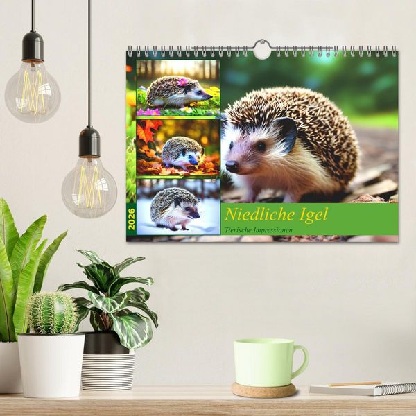 Produktbild: Niedliche Igel (Wandkalender 2026 DIN A4 quer), CALVENDO Monatskalender