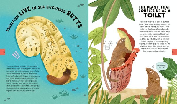 Produktbild: The Big Book of Useless Science Knowledge