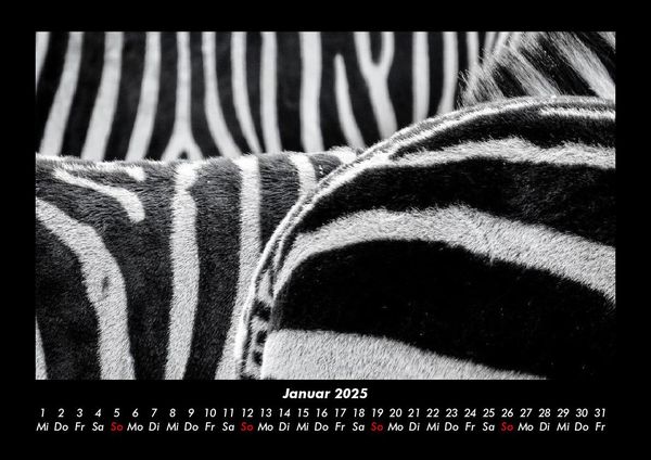 Produktbild: Tierkalender 2025 Fotokalender DIN A3