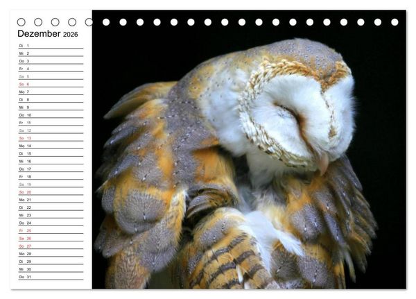 Produktbild: Greifv&ouml;gel, Eulen und K&auml;uze (Tischkalender 2026 DIN A5 quer), CALVENDO Monatskalender