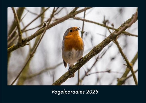 Produktbild: Vogelparadies 2025 Fotokalender DIN A4