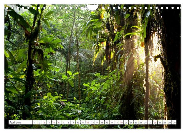 Produktbild: Faszination Naturwunder (Wandkalender 2026 DIN A4 quer), CALVENDO Monatskalender