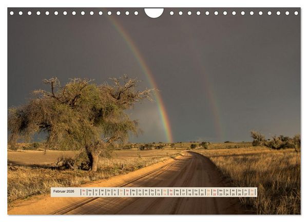 Produktbild: Kgalagadi-Durstland (Wandkalender 2026 DIN A4 quer), CALVENDO Monatskalender