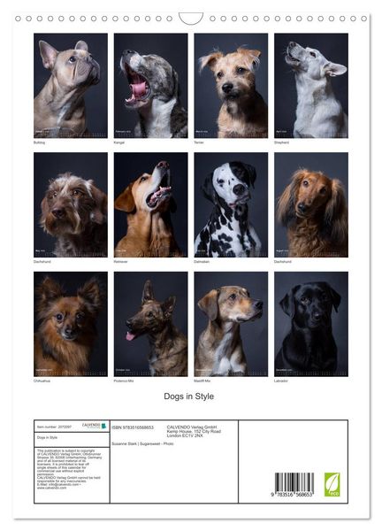 Produktbild: Dogs in Style (Wall Calendar 2026 DIN A3 portrait), CALVENDO 12 Month Wall Calendar