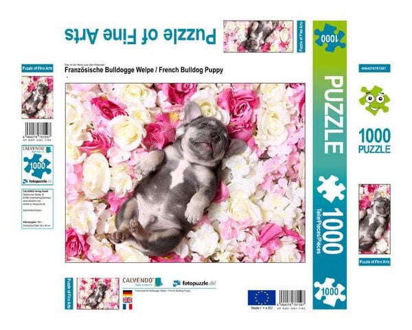 Produktbild: CALVENDO Puzzle Franz&ouml;sische Bulldogge Welpe / French Bulldog Puppy 1000 Teile Lege-Gr&ouml;&szlig;e 640 x 480 cm Foto-Puzzle Bild von Jeanette Hutfluss