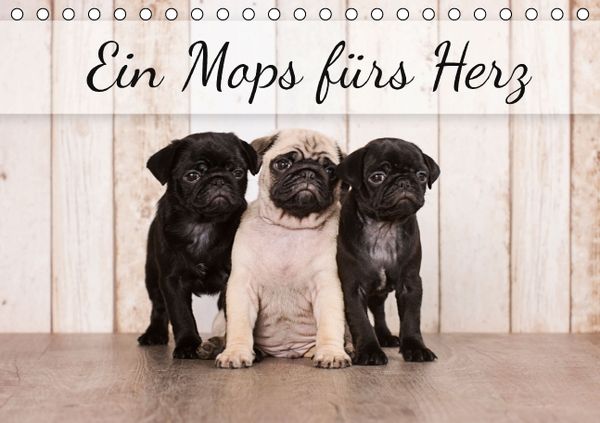 Produktbild: Ein Mops f&uuml;rs Herz (Tischkalender immerw&auml;hrend DIN A5 quer)