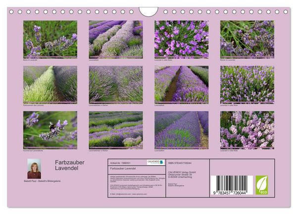 Produktbild: Farbzauber Lavendel (Wandkalender 2026 DIN A4 quer), CALVENDO Monatskalender