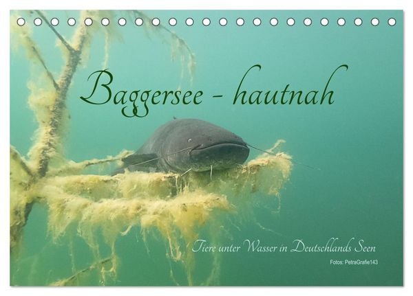 Baggersee -hautah (Tischkalender 2026 DIN A5 quer), CALVENDO Monatskalender