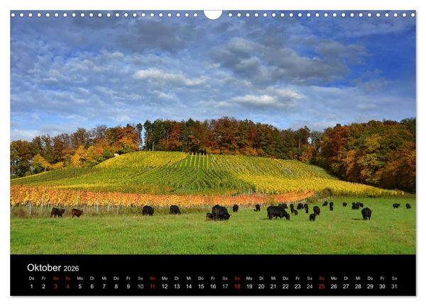 Produktbild: Baden-W&uuml;rttemberg Impressionen (Wandkalender 2026 DIN A3 quer), CALVENDO Monatskalender