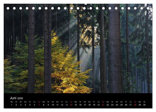 Produktbild: B&auml;ume (Tischkalender 2026 DIN A5 quer), CALVENDO Monatskalender