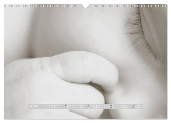 Produktbild: ...so winzig - Babykalender (Wandkalender 2026 DIN A3 quer), CALVENDO Monatskalender