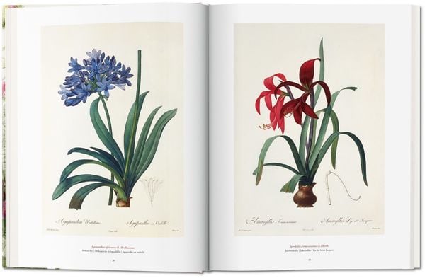 Produktbild: Redout&eacute;. The Book of Flowers