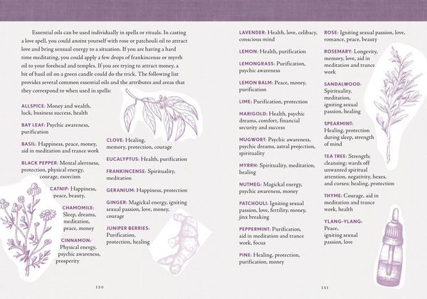 Produktbild: The Good Witch's Perpetual Planner