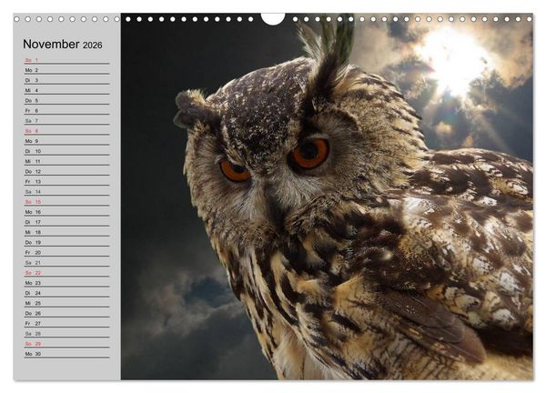 Produktbild: Eulen. W&auml;chter der Nacht (Wandkalender 2026 DIN A3 quer), CALVENDO Monatskalender