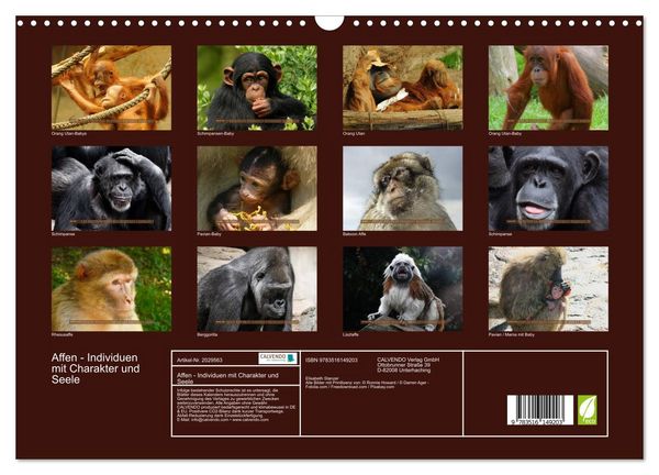 Produktbild: Affen - Individuen mit Charakter und Seele (Wandkalender 2026 DIN A3 quer), CALVENDO Monatskalender