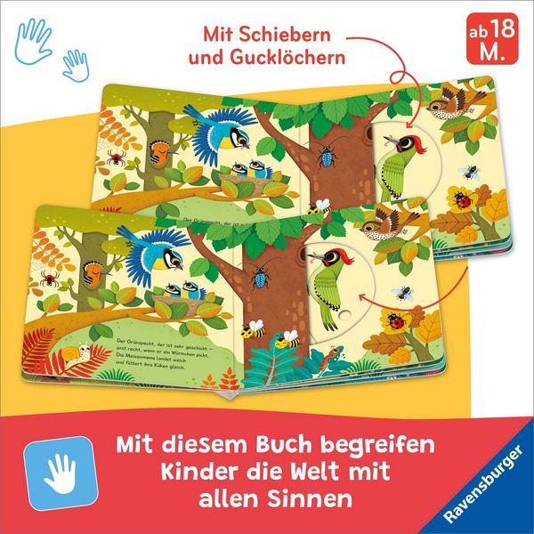 Produktbild: Mein Schiebe-Mitmachbuch - Waldtiere