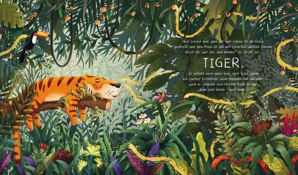 Produktbild: Der achtsame Tiger: Der achtsame Tiger