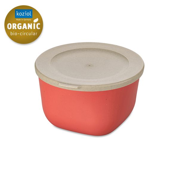 Produktbild: Koziol Box mit Deckel 1l Box mit Deckel 1l