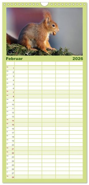 Produktbild: Familienplaner 2026 - Eichh&ouml;rnchen Momentaufnahmen f&uuml;rs Herz mit 5 Spalten (Wandkalender, 21 x 45 cm) CALVENDO