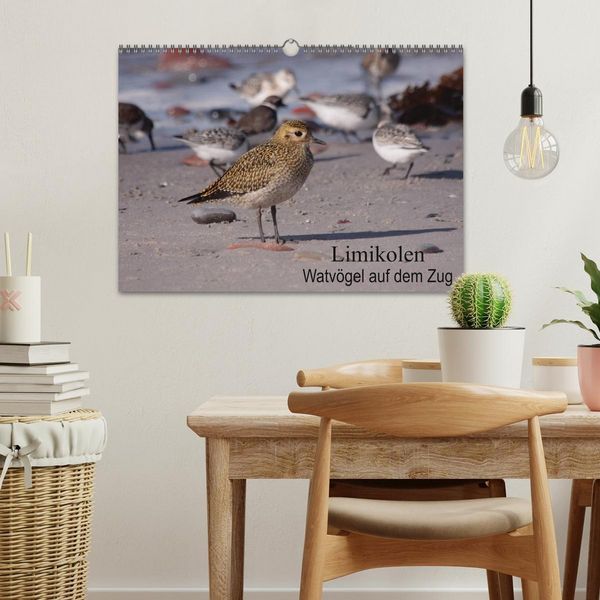Produktbild: Limikolen Watv&ouml;gel auf dem Zug (Wandkalender 2026 DIN A3 quer), CALVENDO Monatskalender