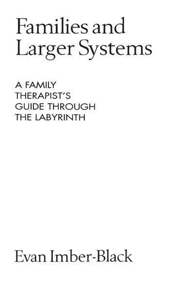 Produktbild: Families and Larger Systems