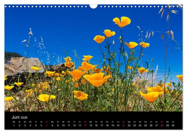 Produktbild: Teneriffa (Wandkalender 2026 DIN A3 quer), CALVENDO Monatskalender