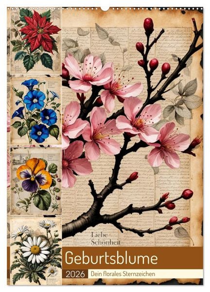 Produktbild: Geburtsblume, dein florales Sternzeichen (Wandkalender 2026 DIN A2 hoch), CALVENDO Monatskalender