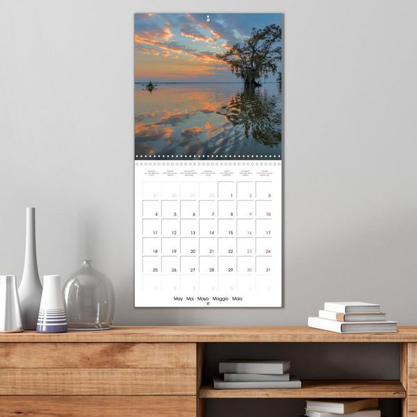 Produktbild: Mississippi Delta, Magic Swamps (Wall Calendar 2026 12 &times; 12 Inch) CALVENDO 12 Month Wall Calendar