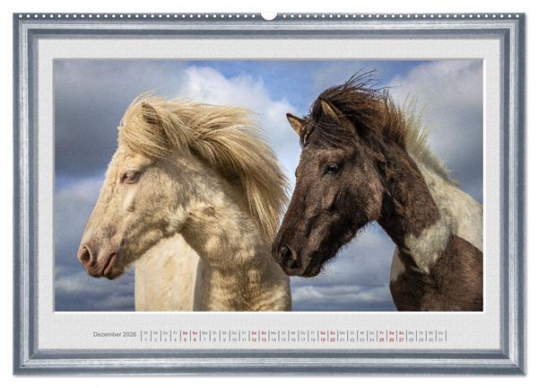 Produktbild: Ich bin ein Isl&auml;nder (hochwertiger Premium Wandkalender 2026 DIN A2 quer), Kunstdruck in Hochglanz