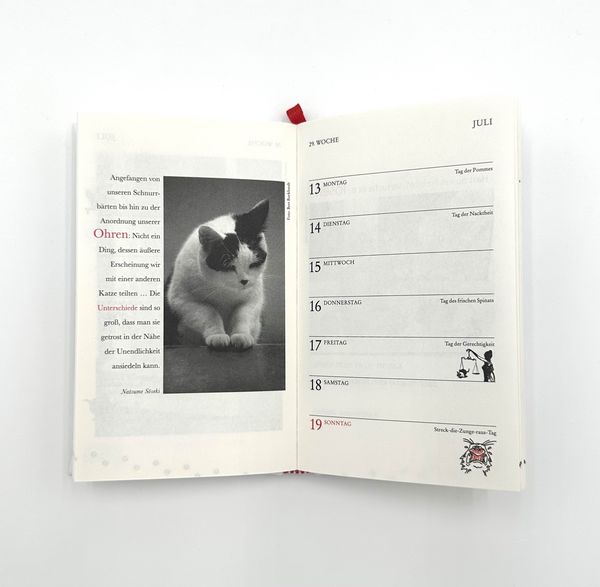 Produktbild: Katzen Taschenkalender 2026