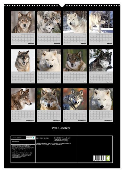 Produktbild: Wolf-Gesichter (Wandkalender 2026 DIN A2 hoch), CALVENDO Monatskalender