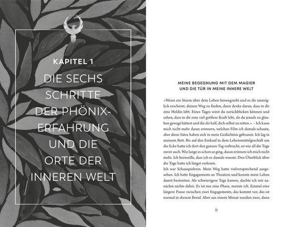 Produktbild: Die Ph&ouml;nixerfahrung