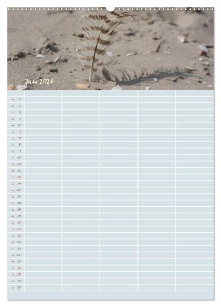 Produktbild: Kleine Sand-Sch&ouml;nheiten / Familienplaner (hochwertiger Premium Wandkalender 2026 DIN A2 hoch), Kunstdruck in Hochglanz