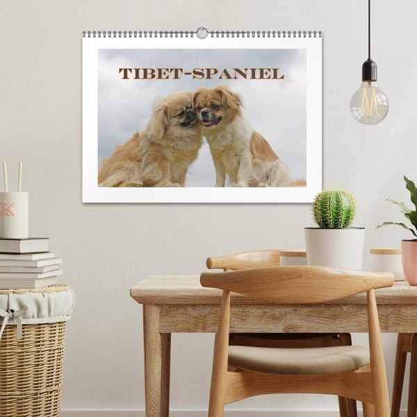 Produktbild: Tibet-Spaniel (Wandkalender 2026 DIN A3 quer), CALVENDO Monatskalender